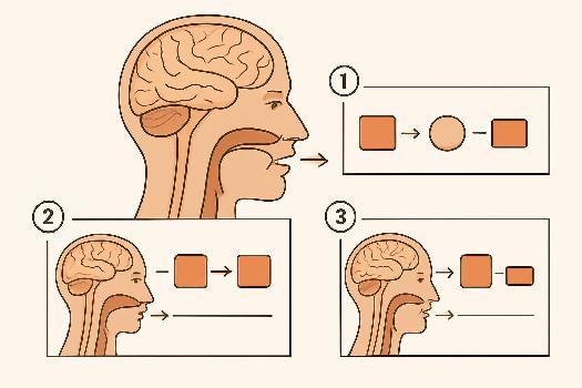 La Place du Verbe Conjugué en Allemand : Un Guide Complet