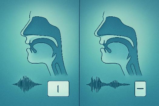 Maîtriser les Voyelles Courtes et Longues en Anglais