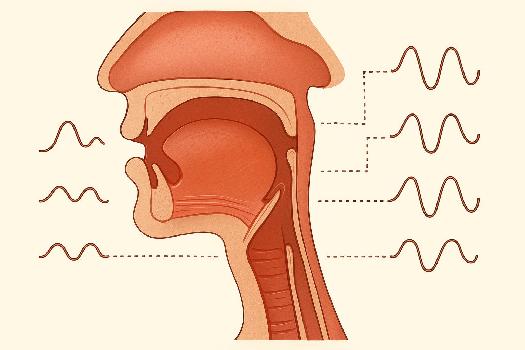Les Diphtongues et les Triphtongues en Espagnol