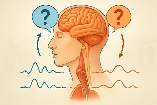 L'intonation dans les phrases interrogatives en espagnol