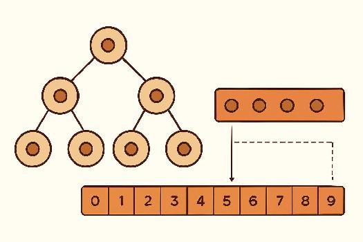 Représentation des Arbres Binaires