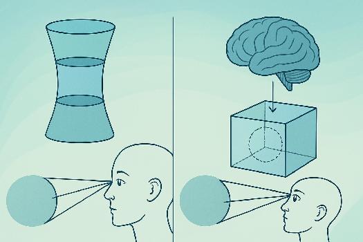 Illusions d'Optique et Perception de la Vérité