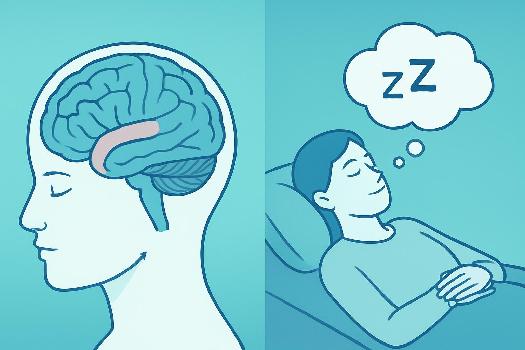 L'Art du Repos Efficace : Maximiser Vos Performances au Bac