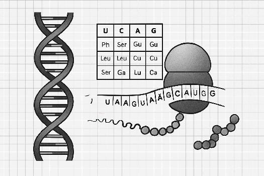 Le Code Génétique: Décryptage du Langage de la Vie